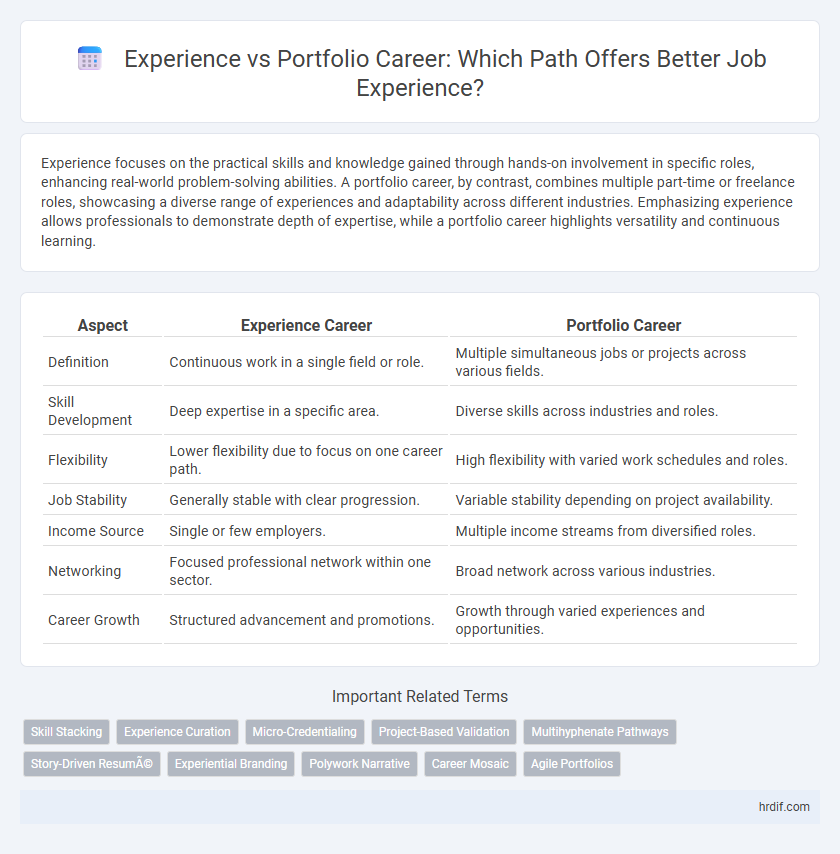 Experience vs Portfolio Career: Which Path Offers Better Job Experience?
