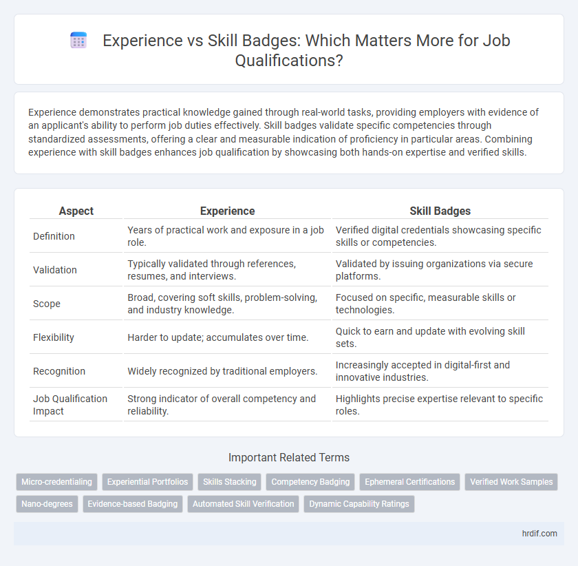 Experience vs Skill Badges: Which Matters More for Job Qualifications?