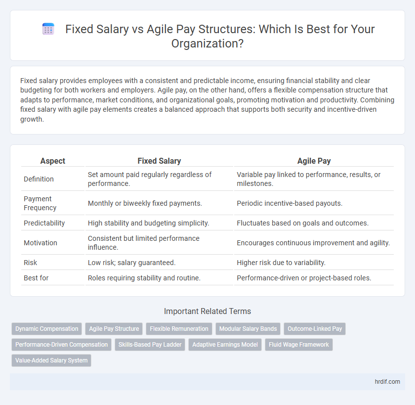 Fixed Salary vs Agile Pay Structures: Which Is Best for Your Organization?