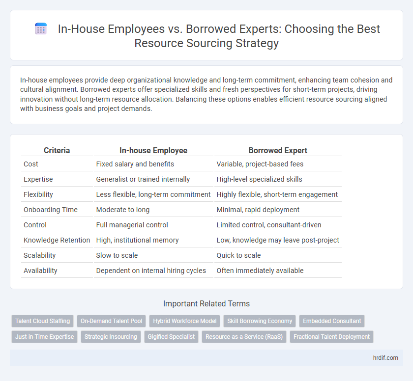 In-House Employees vs. Borrowed Experts: Choosing the Best Resource Sourcing Strategy