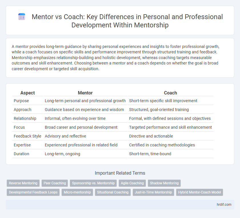 Mentor vs Coach: Key Differences in Personal and Professional Development Within Mentorship