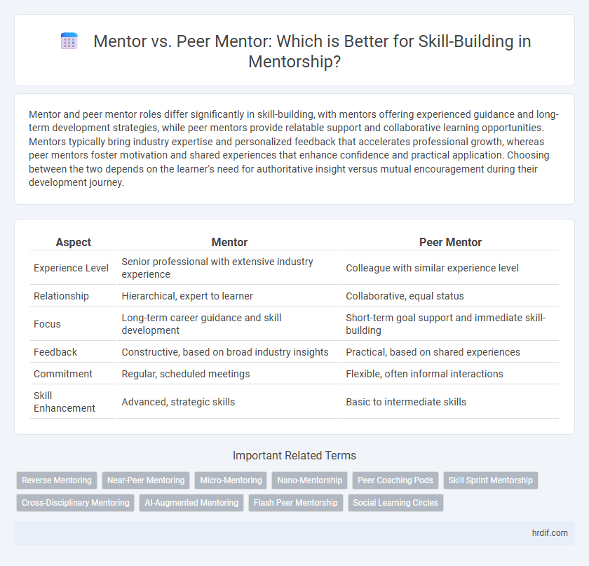 Mentor vs. Peer Mentor: Which is Better for Skill-Building in Mentorship?