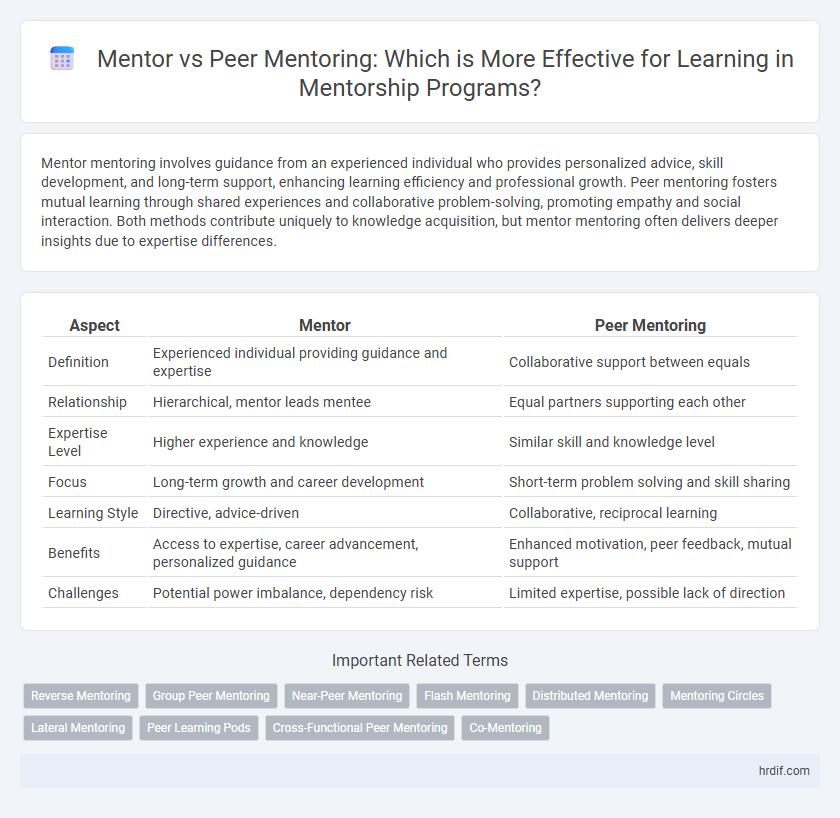Mentor vs Peer Mentoring: Which is More Effective for Learning in Mentorship Programs?