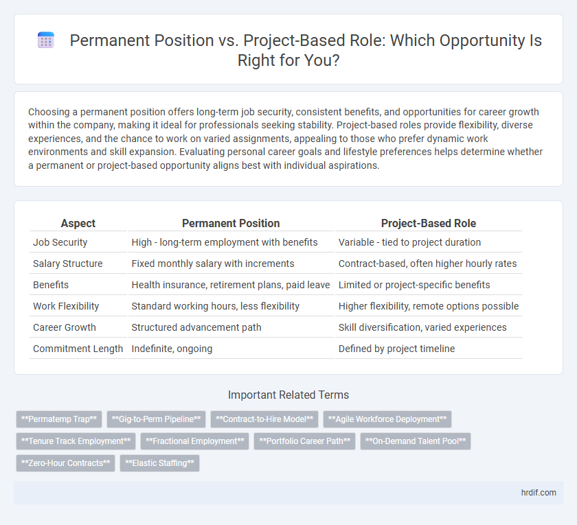 Permanent Position vs. Project-Based Role: Which Opportunity Is Right for You?