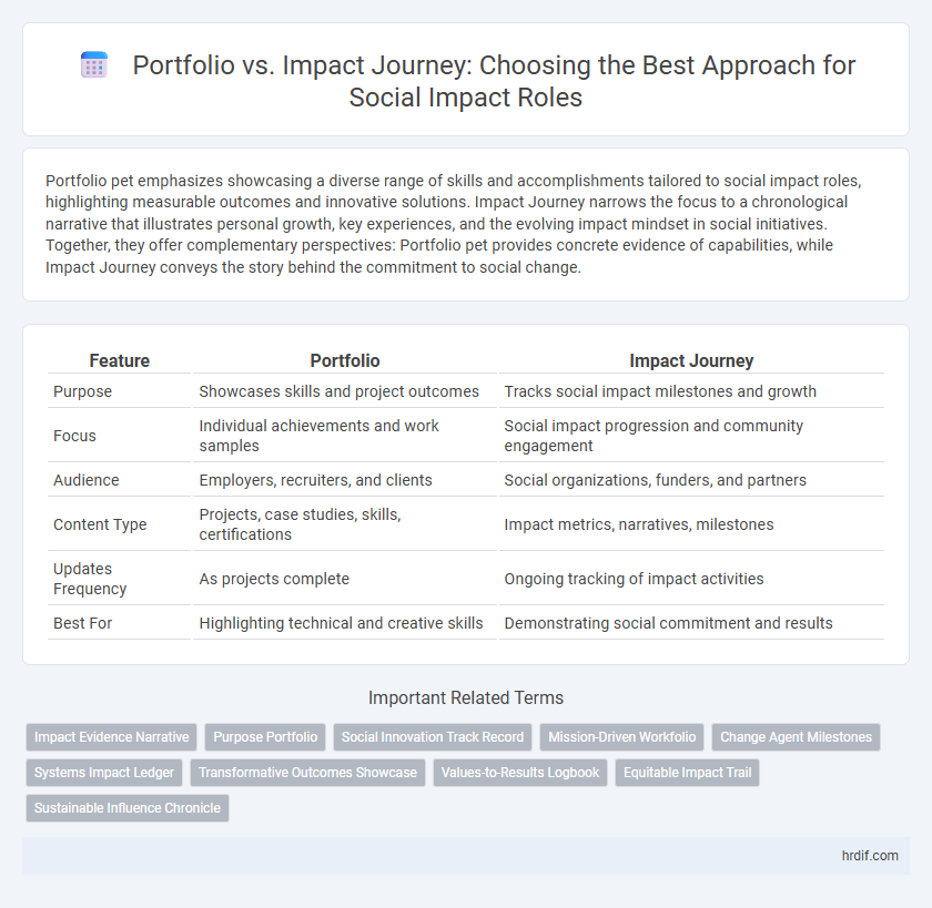 Portfolio vs. Impact Journey: Choosing the Best Approach for Social Impact Roles