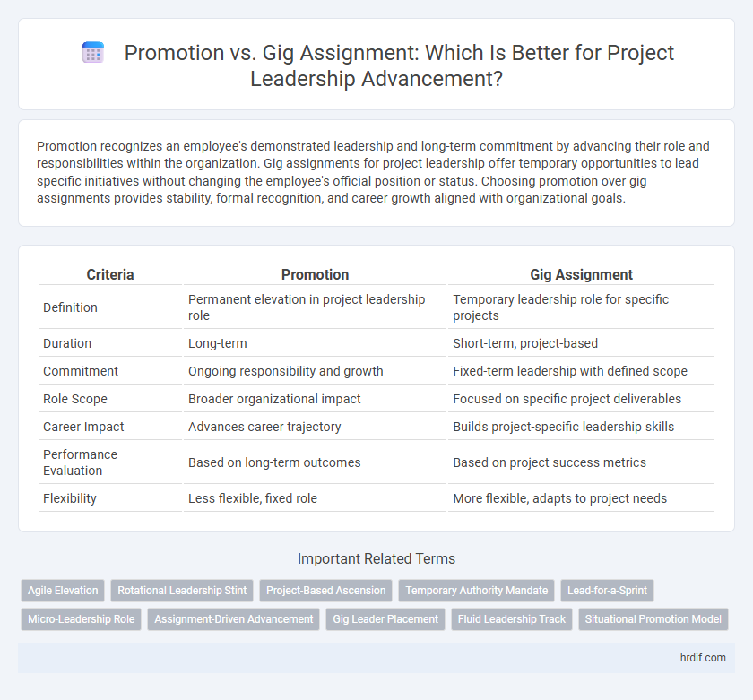 Promotion vs. Gig Assignment: Which Is Better for Project Leadership Advancement?