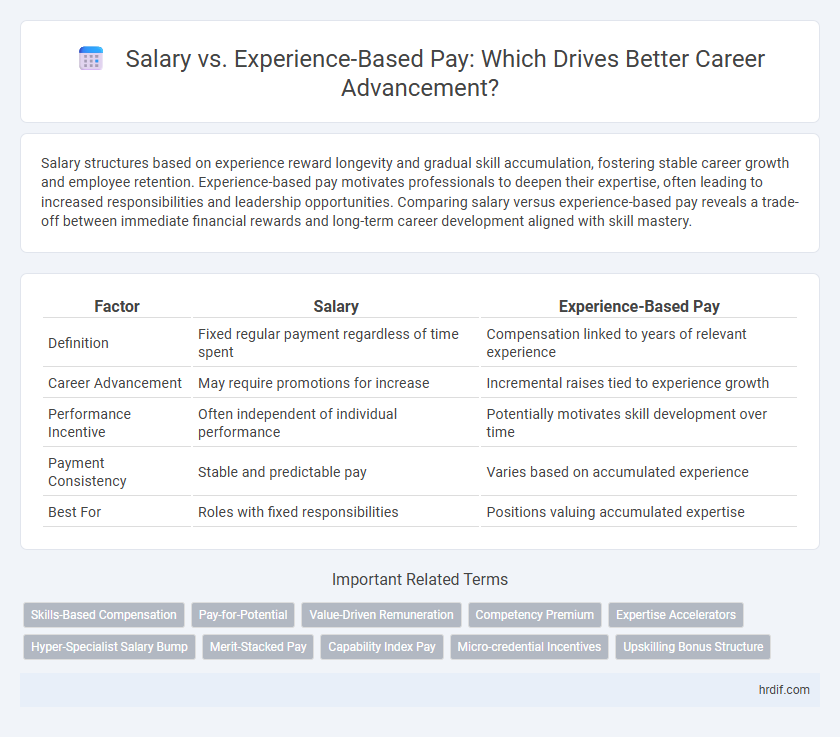 Salary vs. Experience-Based Pay: Which Drives Better Career Advancement?