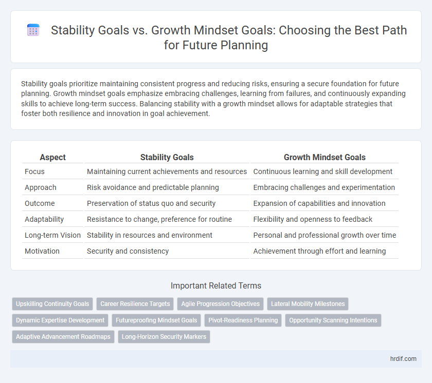 Stability Goals vs. Growth Mindset Goals: Choosing the Best Path for Future Planning