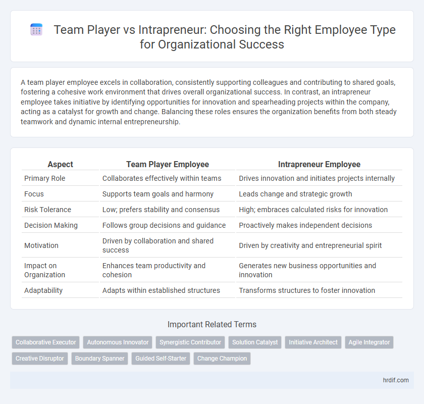 Team Player vs Intrapreneur: Choosing the Right Employee Type for Organizational Success