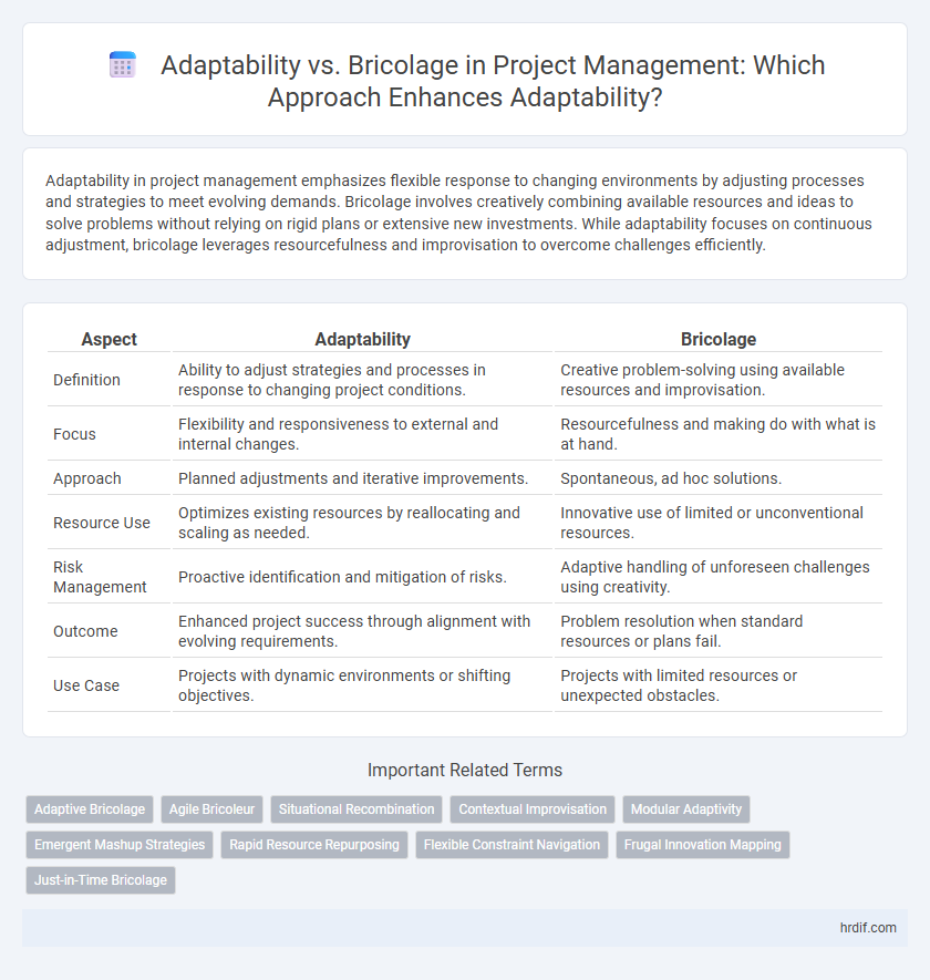 Adaptability vs. Bricolage in Project Management: Which Approach Enhances Adaptability?