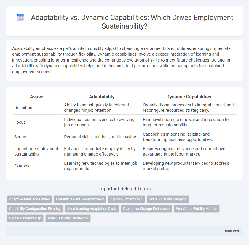 Adaptability vs. Dynamic Capabilities: Which Drives Employment Sustainability?