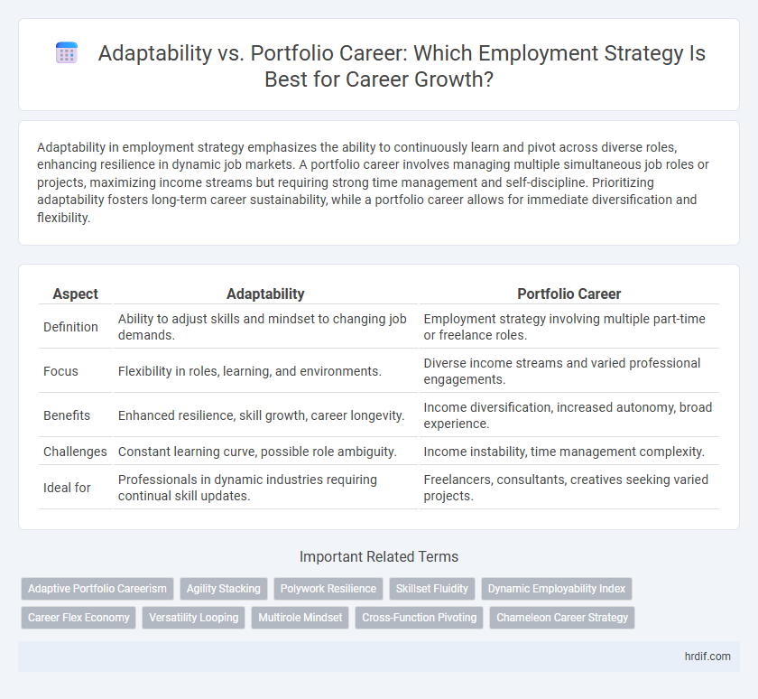Adaptability vs. Portfolio Career: Which Employment Strategy Is Best for Career Growth?