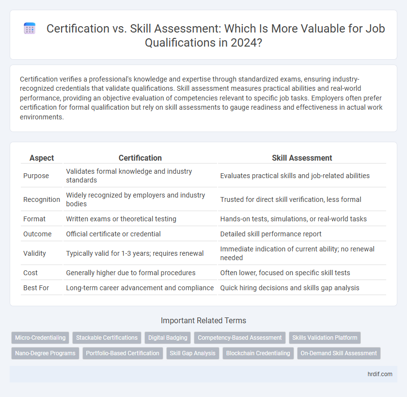 Certification vs. Skill Assessment: Which Is More Valuable for Job Qualifications in 2024?