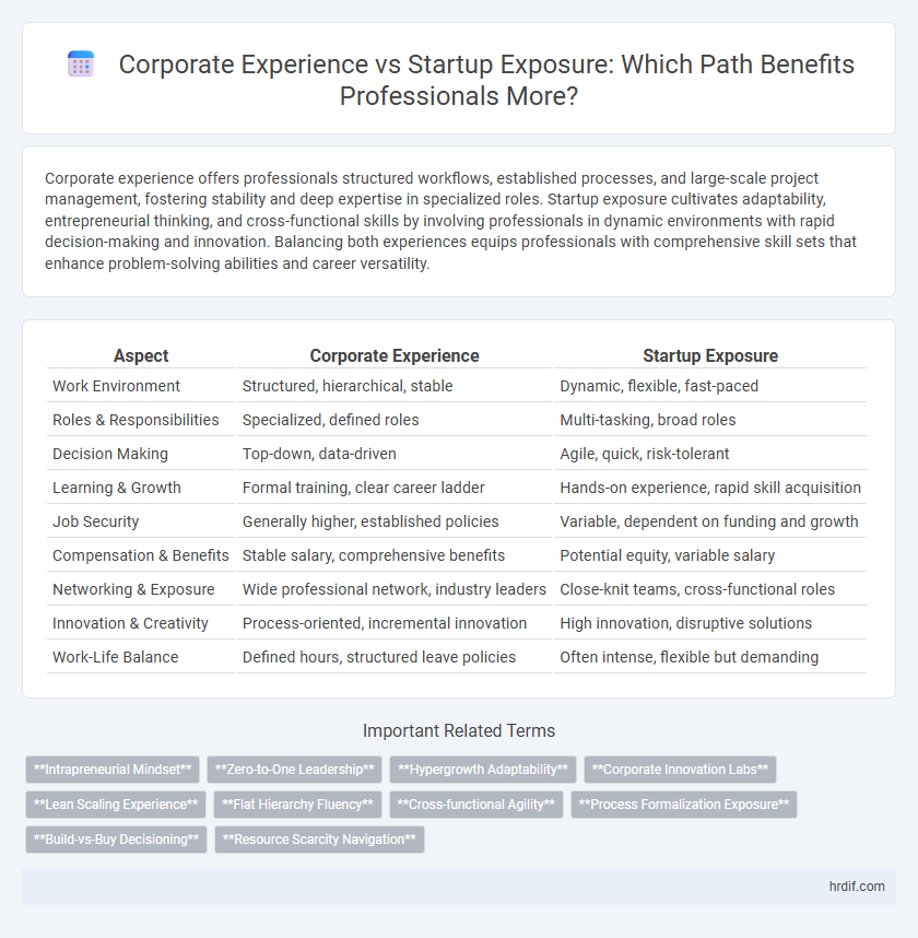 Corporate Experience vs Startup Exposure: Which Path Benefits Professionals More?