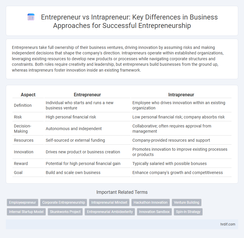 Entrepreneur vs Intrapreneur: Key Differences in Business Approaches for Successful Entrepreneurship