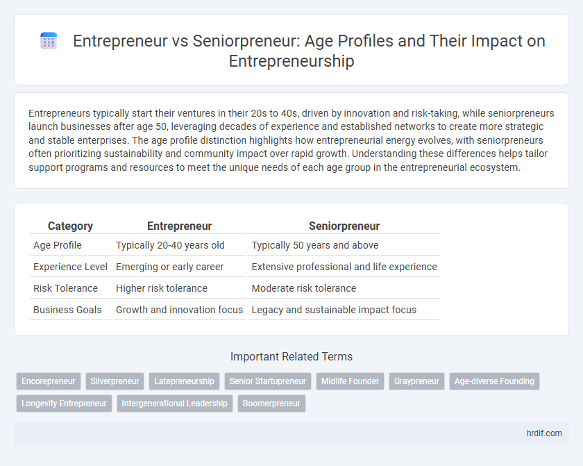 Entrepreneur vs Seniorpreneur: Age Profiles and Their Impact on Entrepreneurship