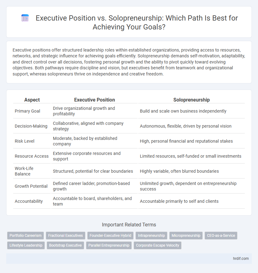 Executive Position vs. Solopreneurship: Which Path Is Best for Achieving Your Goals?