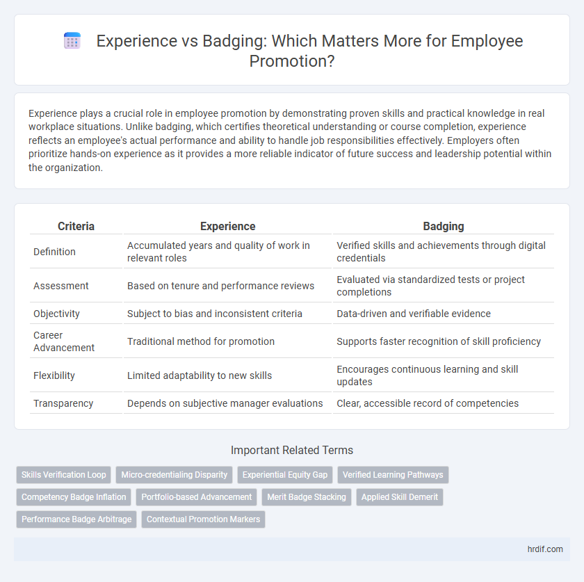Experience vs Badging: Which Matters More for Employee Promotion?