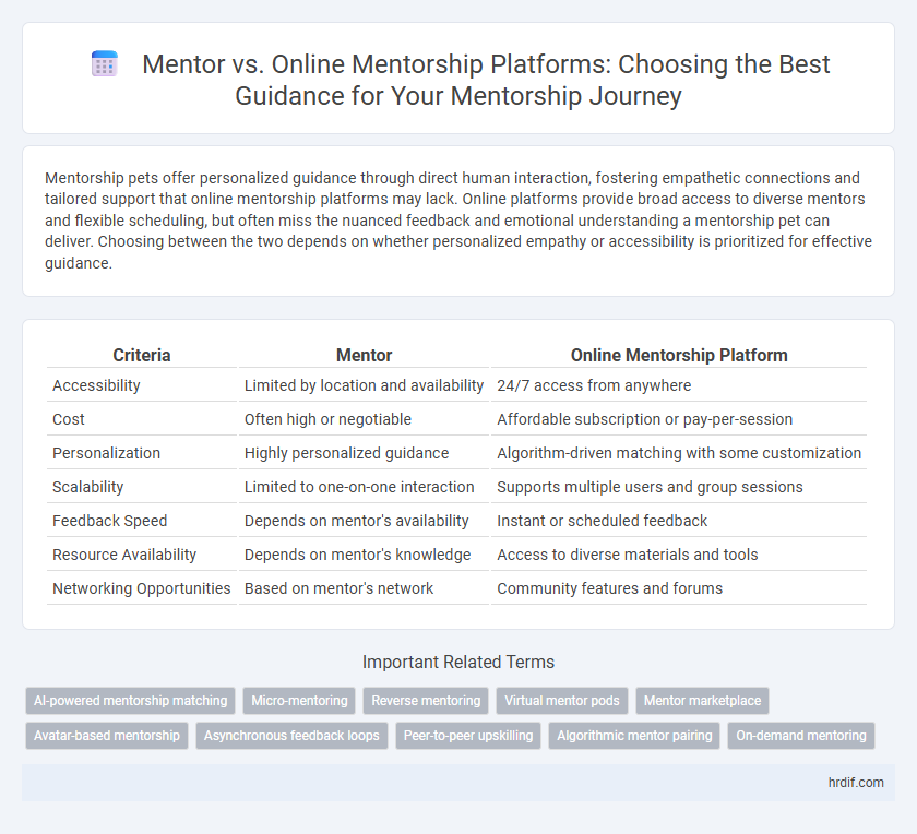 Mentor vs. Online Mentorship Platforms: Choosing the Best Guidance for Your Mentorship Journey