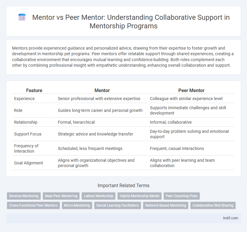 Mentor vs Peer Mentor: Understanding Collaborative Support in Mentorship Programs