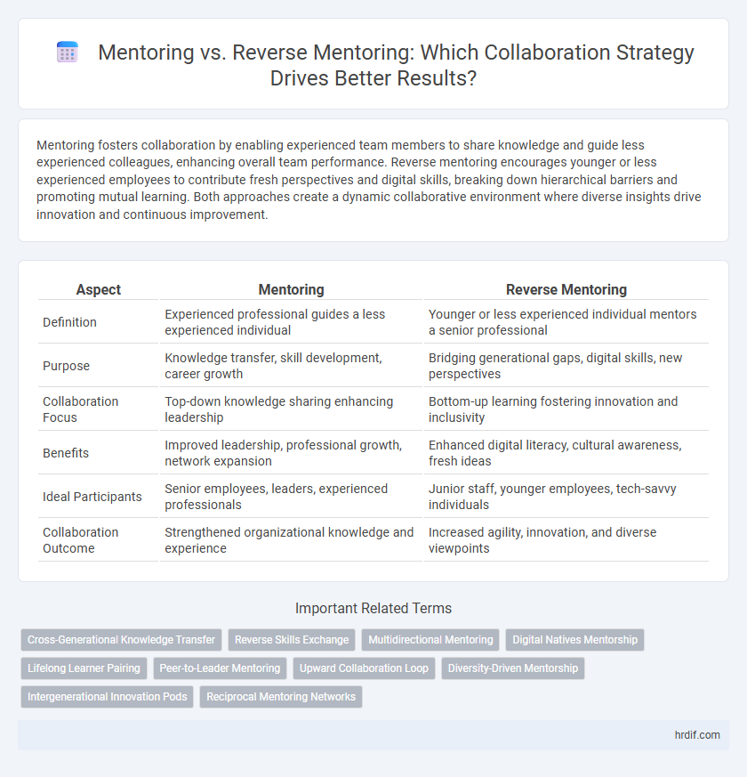 Mentoring vs. Reverse Mentoring: Which Collaboration Strategy Drives Better Results?