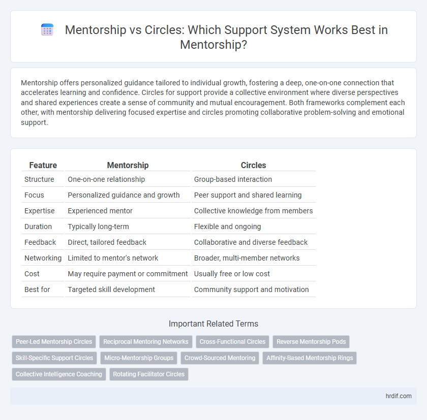 Mentorship vs Circles: Which Support System Works Best in Mentorship?