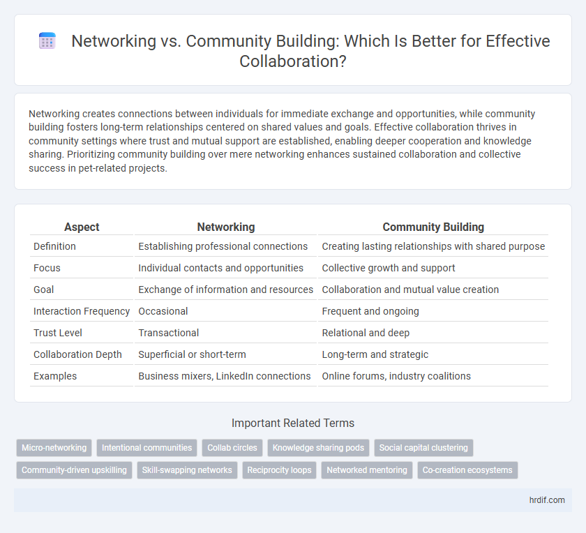 Networking vs. Community Building: Which Is Better for Effective Collaboration?