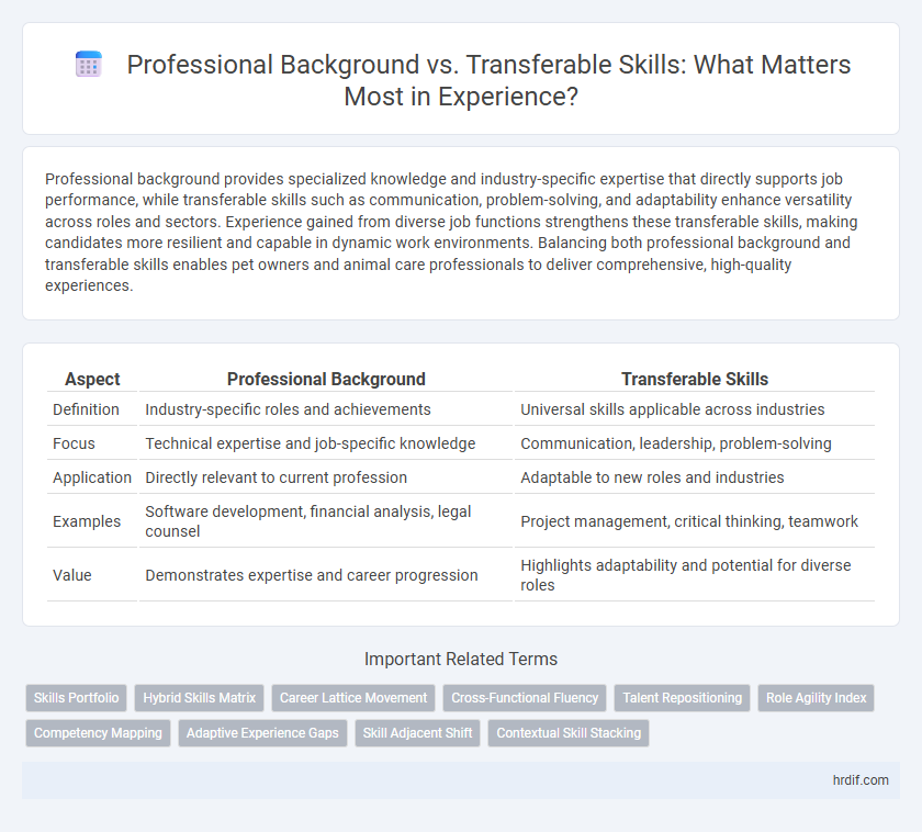 Professional Background vs. Transferable Skills: What Matters Most in Experience?