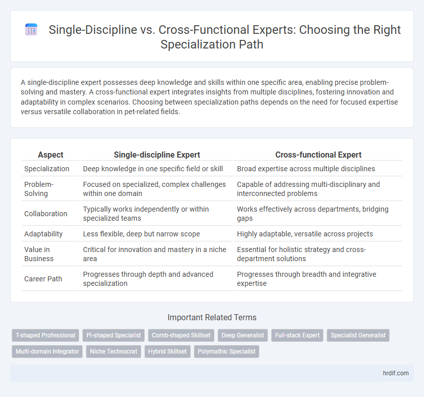 Single-Discipline vs. Cross-Functional Experts: Choosing the Right Specialization Path