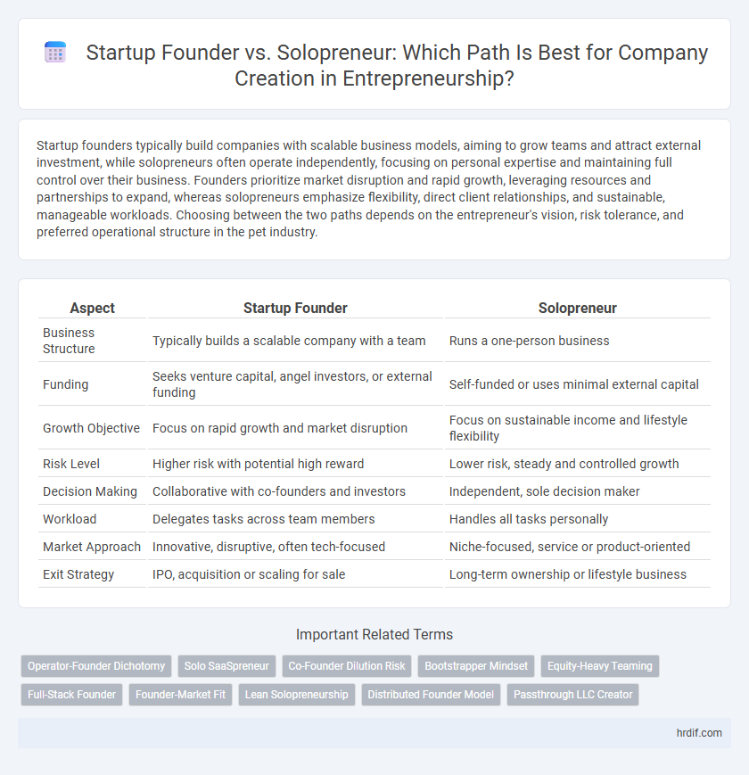 Startup Founder vs. Solopreneur: Which Path Is Best for Company Creation in Entrepreneurship?