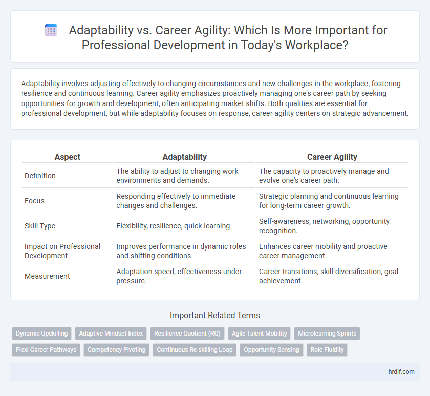 Adaptability vs. Career Agility: Which Is More Important for Professional Development in Today's Workplace?