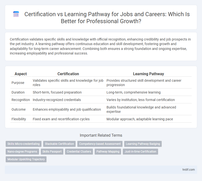 Certification vs Learning Pathway for Jobs and Careers: Which Is Better for Professional Growth?