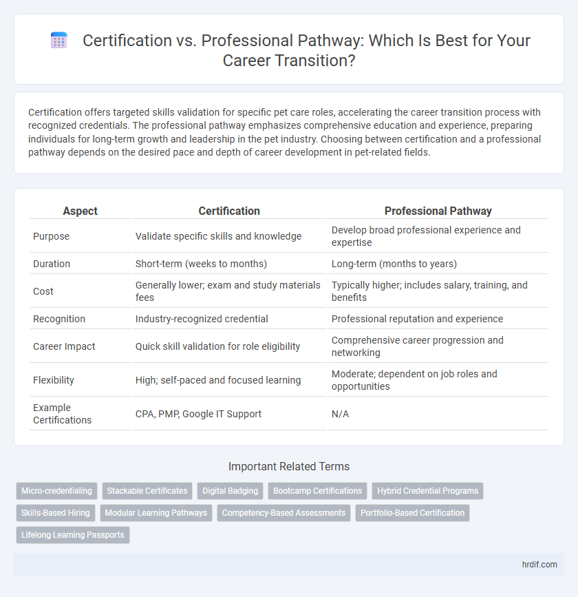 Certification vs. Professional Pathway: Which Is Best for Your Career Transition?