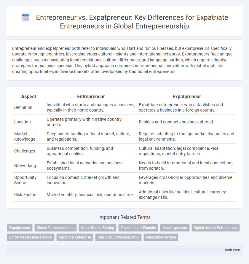 Entrepreneur vs. Expatpreneur: Key Differences for Expatriate Entrepreneurs in Global Entrepreneurship