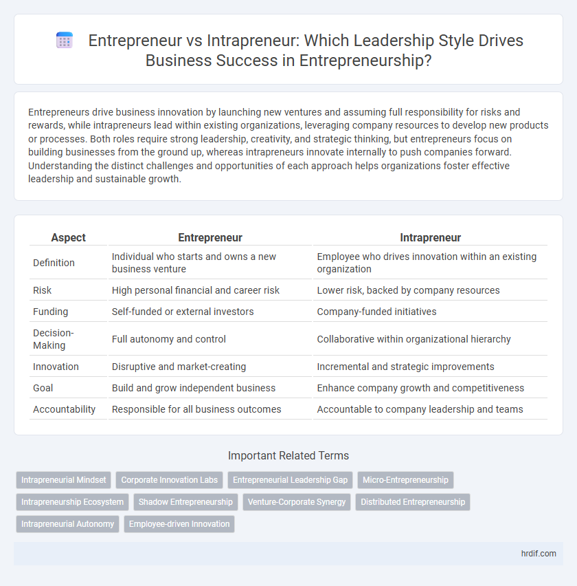 Entrepreneur vs Intrapreneur: Which Leadership Style Drives Business Success in Entrepreneurship?