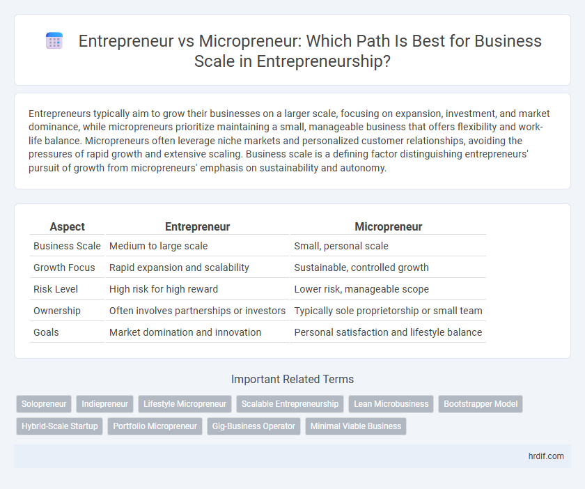 Entrepreneur vs Micropreneur: Which Path Is Best for Business Scale in Entrepreneurship?