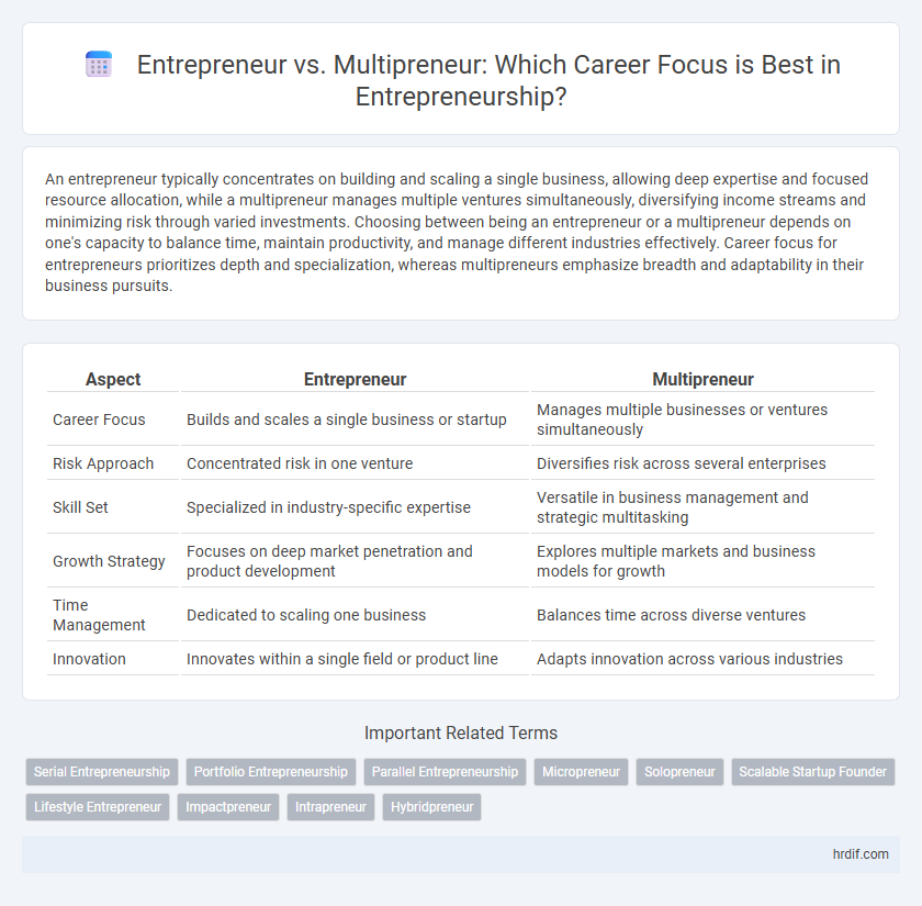 Entrepreneur vs. Multipreneur: Which Career Focus is Best in Entrepreneurship?