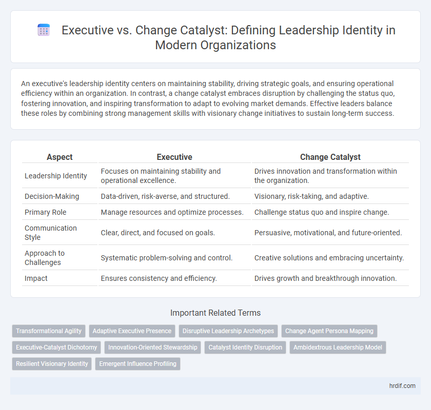 Executive vs. Change Catalyst: Defining Leadership Identity in Modern Organizations