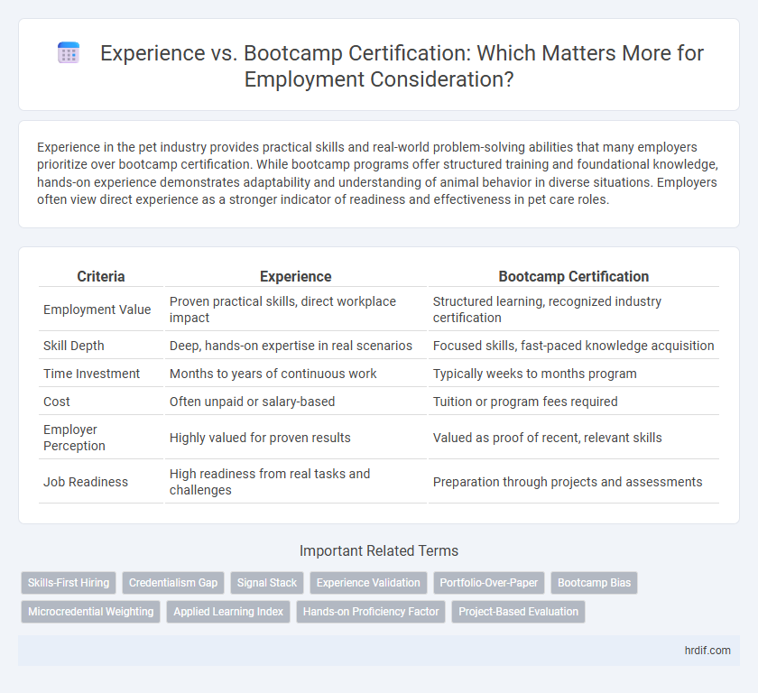 Experience vs. Bootcamp Certification: Which Matters More for Employment Consideration?