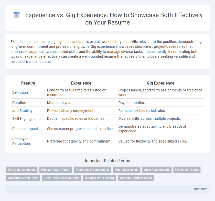 Experience vs. Gig Experience: How to Showcase Both Effectively on Your Resume