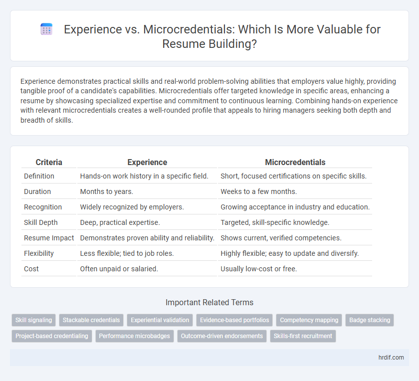 Experience vs. Microcredentials: Which Is More Valuable for Resume Building?