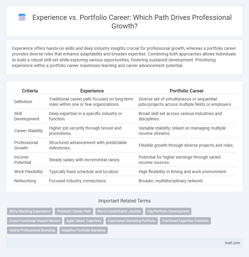 Experience vs. Portfolio Career: Which Path Drives Professional Growth?