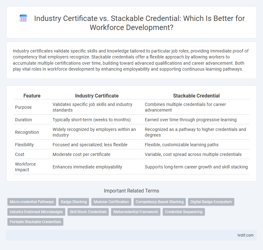 Industry Certificate vs. Stackable Credential: Which Is Better for Workforce Development?