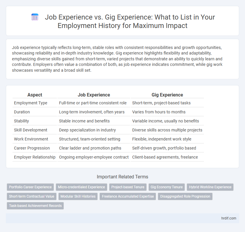 Job Experience vs. Gig Experience: What to List in Your Employment History for Maximum Impact