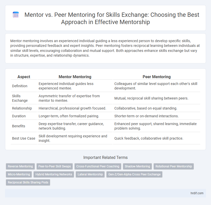Mentor vs. Peer Mentoring for Skills Exchange: Choosing the Best Approach in Effective Mentorship