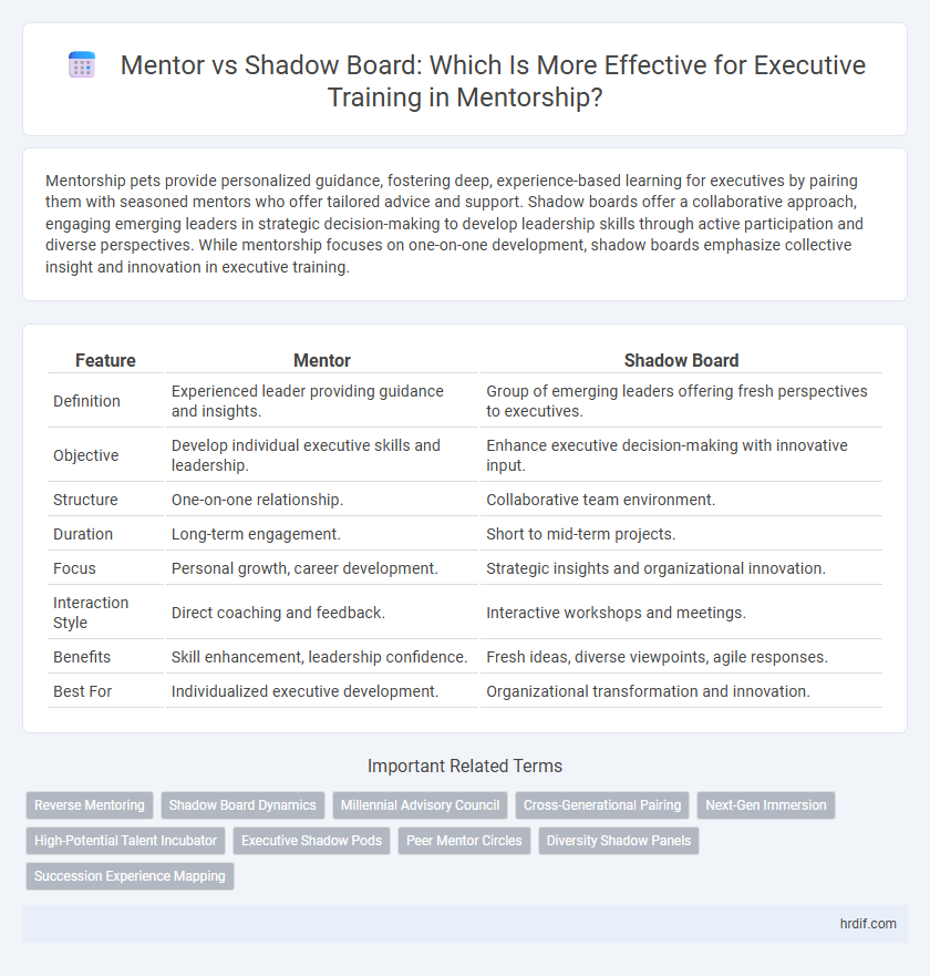 Mentor vs Shadow Board: Which Is More Effective for Executive Training in Mentorship?