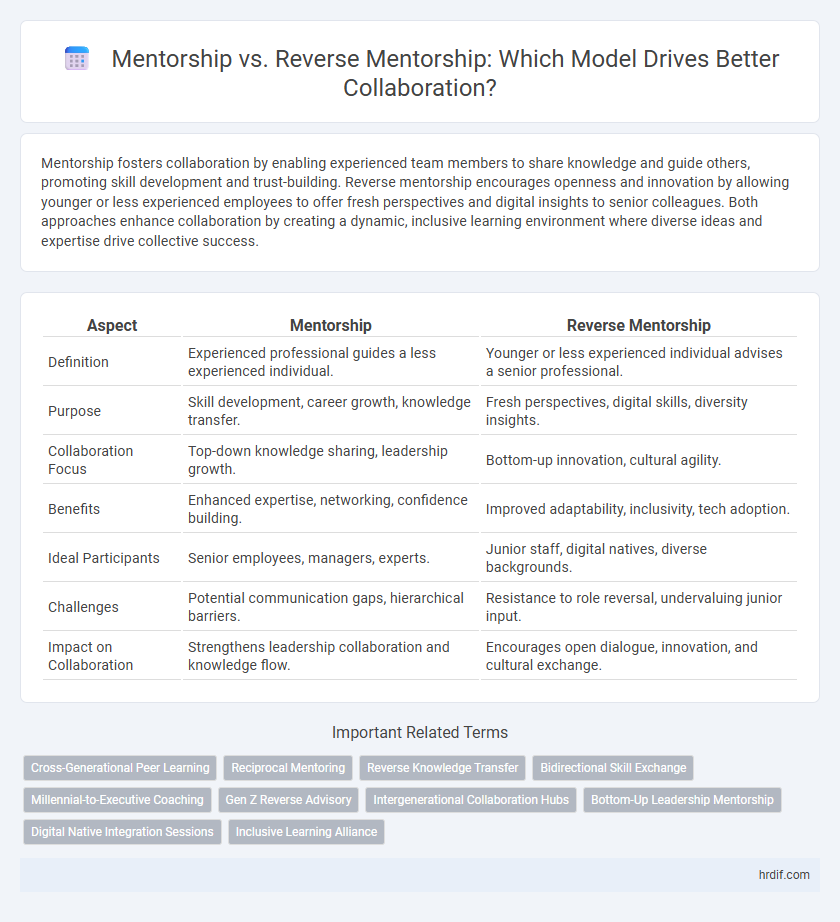 Mentorship vs. Reverse Mentorship: Which Model Drives Better Collaboration?