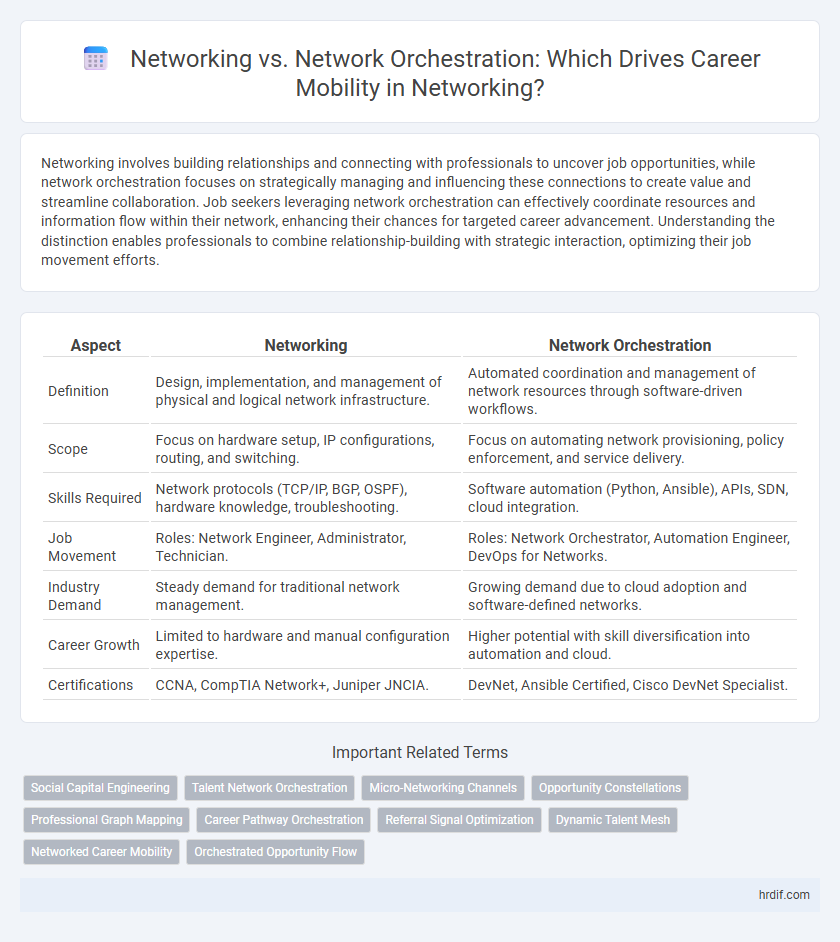 Networking vs. Network Orchestration: Which Drives Career Mobility in Networking?