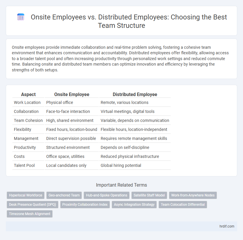 Onsite Employees vs. Distributed Employees: Choosing the Best Team Structure