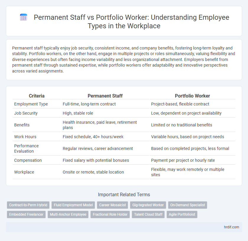 Permanent Staff vs Portfolio Worker: Understanding Employee Types in the Workplace